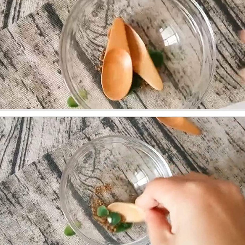 spoon5 Pieces Mini Wooden Spoo - Coffee Tea Etc reseña y precio